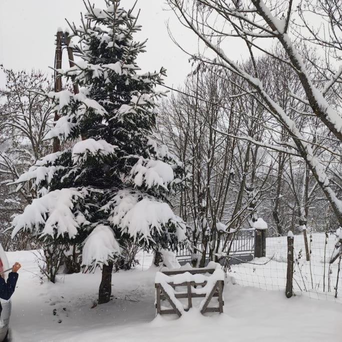 Maison De Montagne Au Calme Avec Cheminee Poubeau Екстер'єр фото